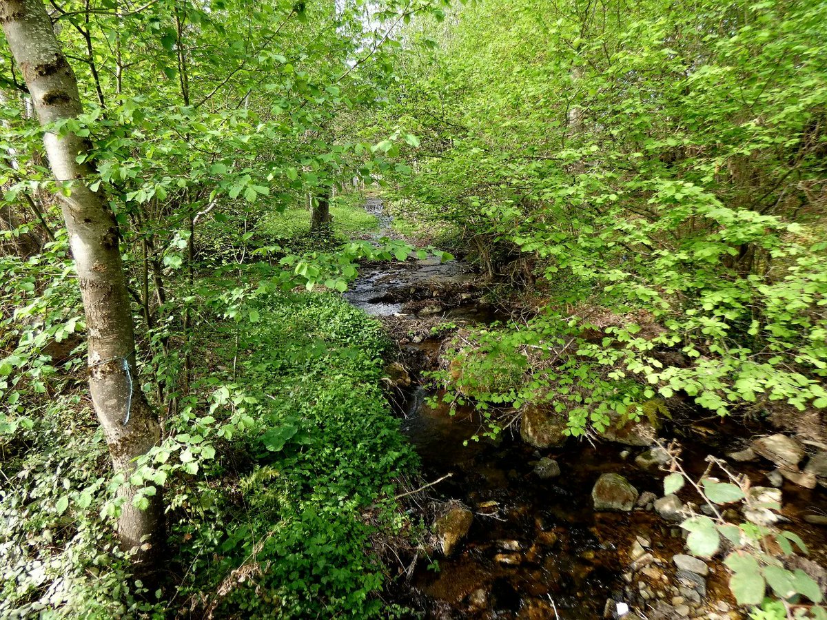 mgarciave06's tweet photo. Río Cilorio en Valgañón (La Rioja)

#paisajesescondidosebro @ch_ebro #ríoebro #ebreriver #ebroludica #rioglera #riooja https://t.co/8yL0nFXaKR