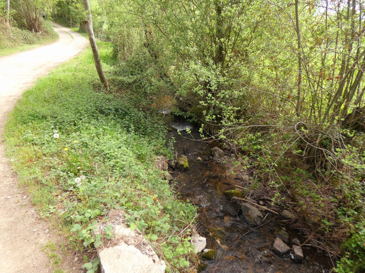 mgarciave06's tweet photo. Río Cilorio en Valgañón (La Rioja)

#paisajesescondidosebro @ch_ebro #ríoebro #ebreriver #ebroludica #rioglera #riooja https://t.co/8yL0nFXaKR