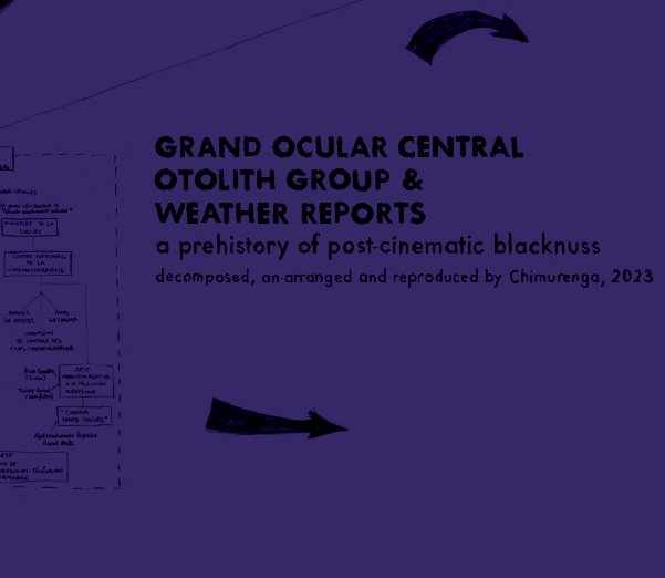 Chimurenga tweet media