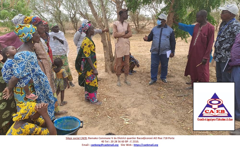 ONG_CAEB_MALI's tweet photo. La direction de l'ONG CAEB a effectué une mission de supervision des activités du projet PAIS dans la région de Nioro du Sahel. L’objectif de cette visite était de s’assurer du bon déroulement des activités et d’apprécier les résultats obtenus sur le terrain. https://t.co/GC4vPoPyDL