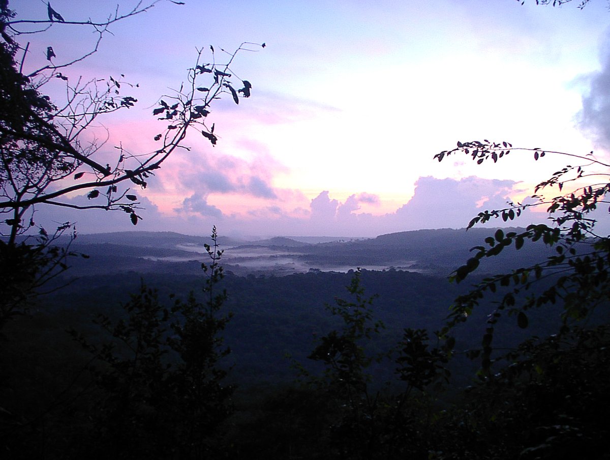 Explore Shimba Hills National Reserve and experience the thrill of hiking through lush forests, breathtaking views and the stunning Sheldrick waterfall.

#ZuruShimbaHills and witness the beauty of nature at its finest.
#ZuruKenyaParks