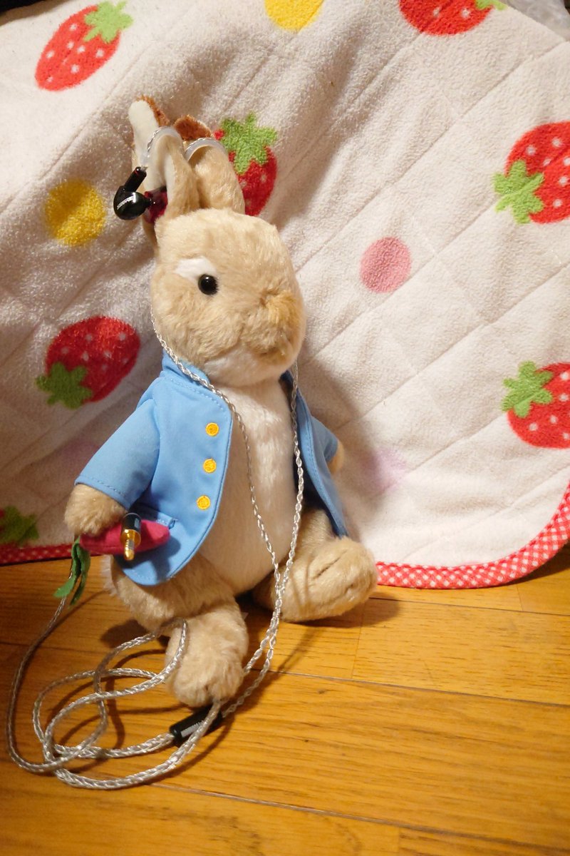 haruko_425's tweet photo. ポタオデの時間です🐰🎧️♥️
#ピーターラビット #SHURE #SE315 https://t.co/iIBqmedU9h