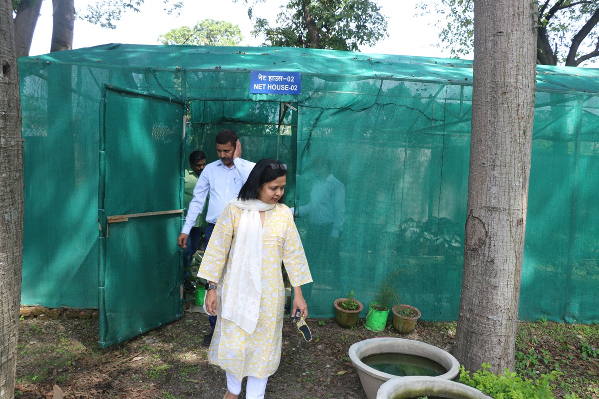 bsi_moefcc's tweet image. Ms. Nameeta Prasad, Joint Secretary, @moefcc, has participated in the 12th Research Advisory and Monitoring Committee (RAMC) of @bsi_moefcc and visited the Fern House, Net House, and Garden of  BSI Dehradun. The RAMC meeting was held under the chairmanship of Prof. C.R. Babu.