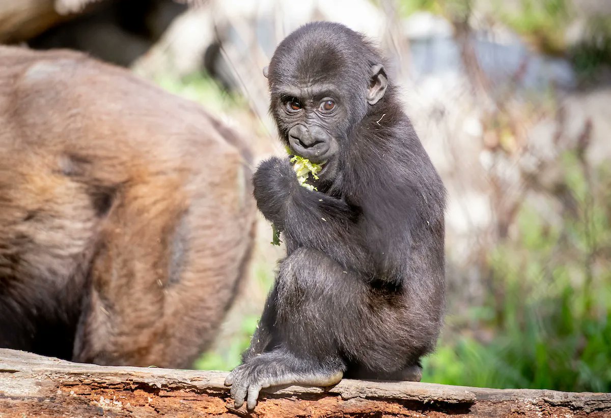 Bring on the warm weather! ☀️