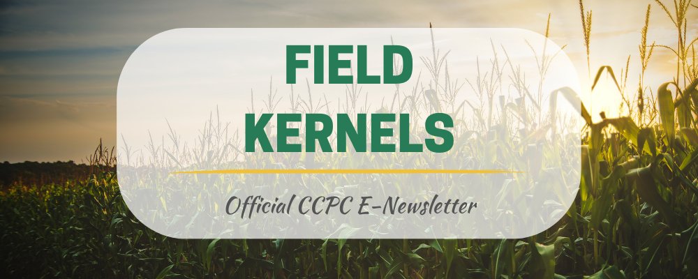 This week's Field Kernels 
conta.cc/42bNql7
conta.cc/3NLtTDM