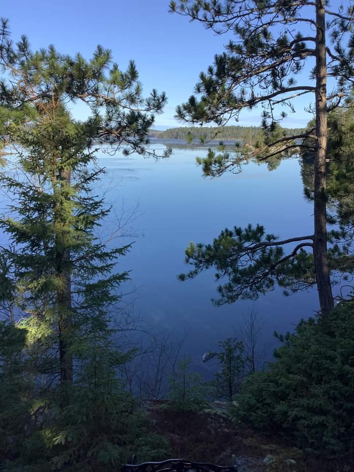 CANCC_TOKEN's tweet photo. Good Morning 🌅
#Everygreen #cancc #Chia🌱
#Canada #Ontario #Northern #Starlink https://t.co/jDDHNmKEqN