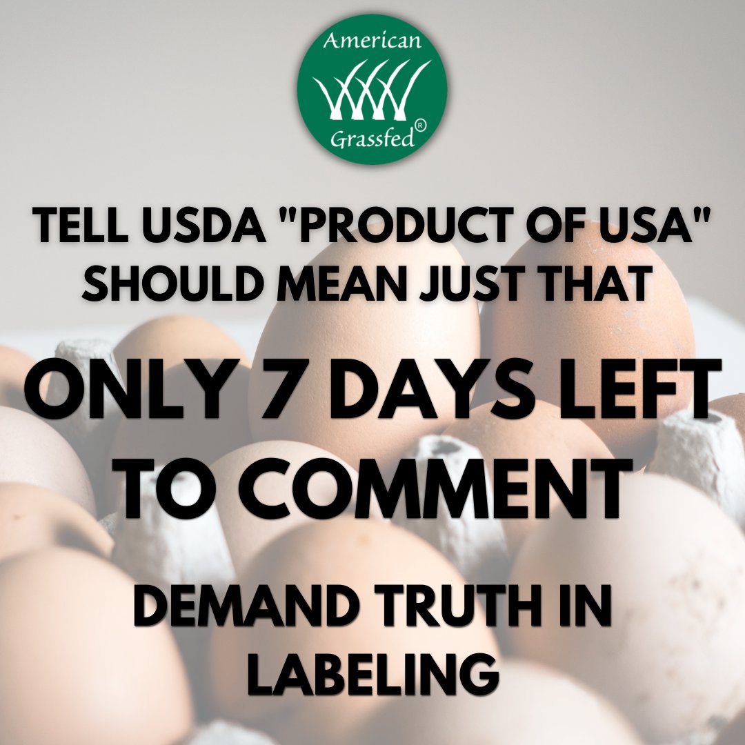 American Grassfed (@amergrassfed) on Twitter photo Only 7 days left to comment! #CommentNow #ProductofUSA #POUSA #USDAProposedRule #USDA #AccuracyInLabeling #FamilyFarms #SupportLocal #USA #Labeling #meat #eggs #AmericanFamilyFarms #Comment Only 7 days left to comment! #CommentNow #ProductofUSA #POUSA #USDAProposedRule #USDA #AccuracyInLabeling #FamilyFarms #SupportLocal #USA #Labeling #meat #eggs #AmericanFamilyFarms #Comment