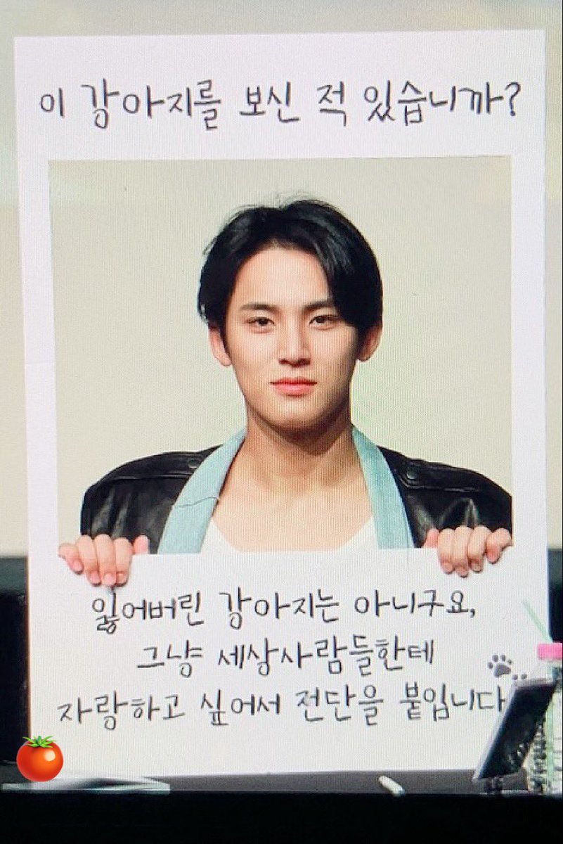 이 사진 진짜 댕🐶 받는점 。
민규가 내민 저 양손(𖤐) 이 
강아지 앞발 같음
리터럴리 민규강아지 잖아