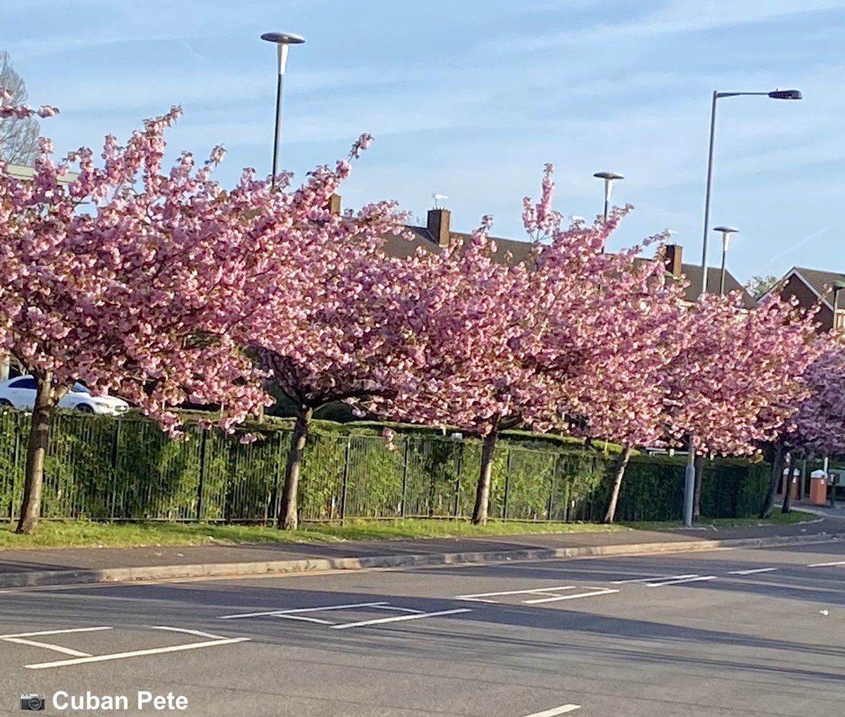 B31Voices's tweet photo. ❤️ 

@peterwmpete: "One thing the planners have got right in longbridge"

Like taking/seeing photos?  Show yours: https://t.co/i16ORO8bMe

#B31VoicesReaderOpinion #Longbridge #Birmingham #BirminghamUK
#BrummieBeautiful #SWBrumPHOTOS #Photography https://t.co/hCBRh5MH8J