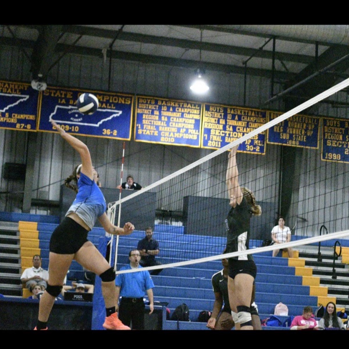 ceterawarren tweet media