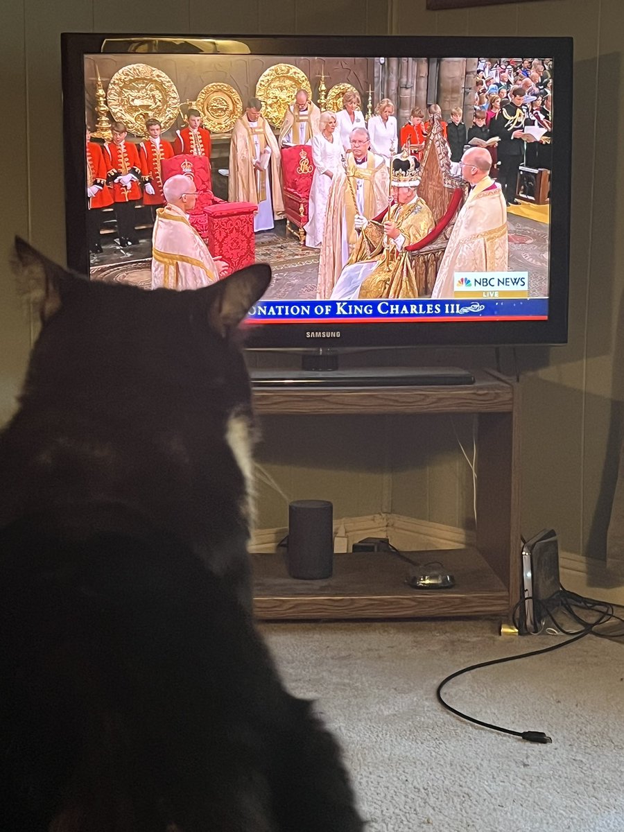Epoch The Cat tweet media