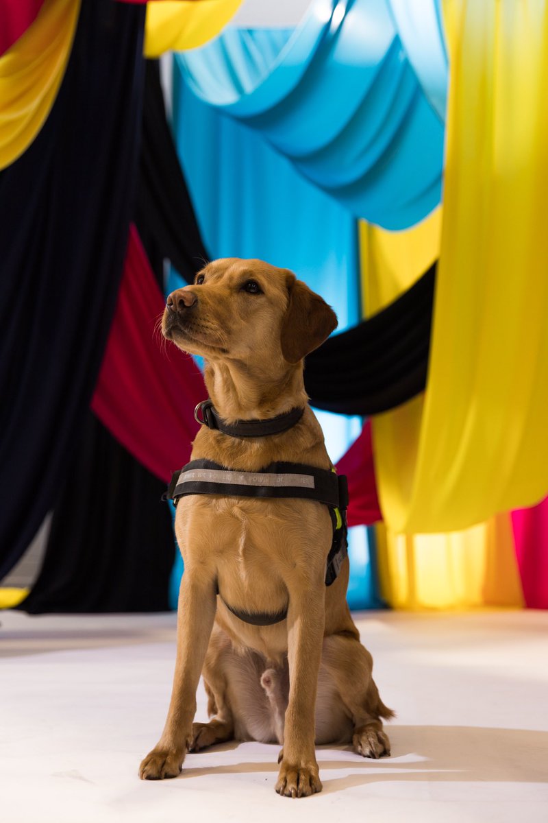 ESCjoanna's tweet image. It also delights me that the security dogs also got a photo shoot