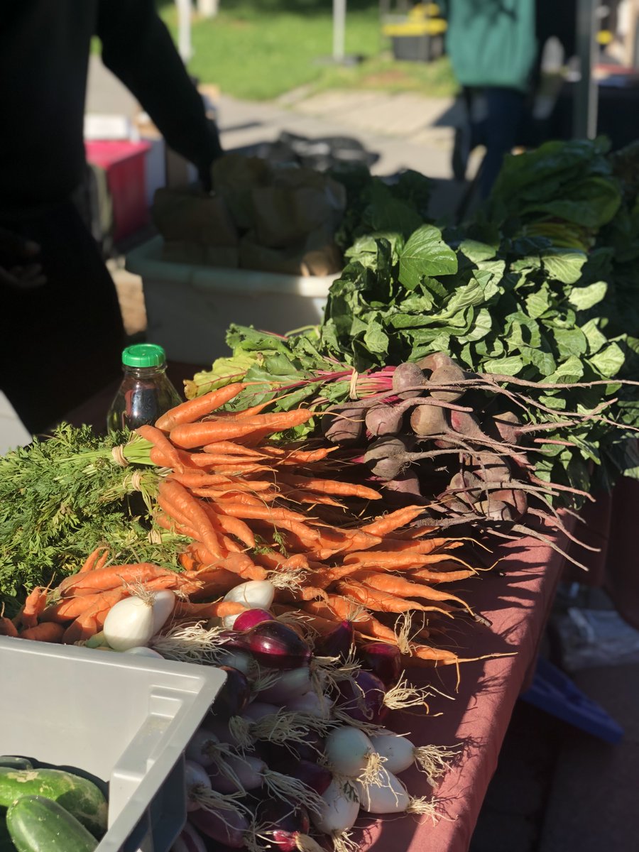 The Stop Community Food Centre tweet media