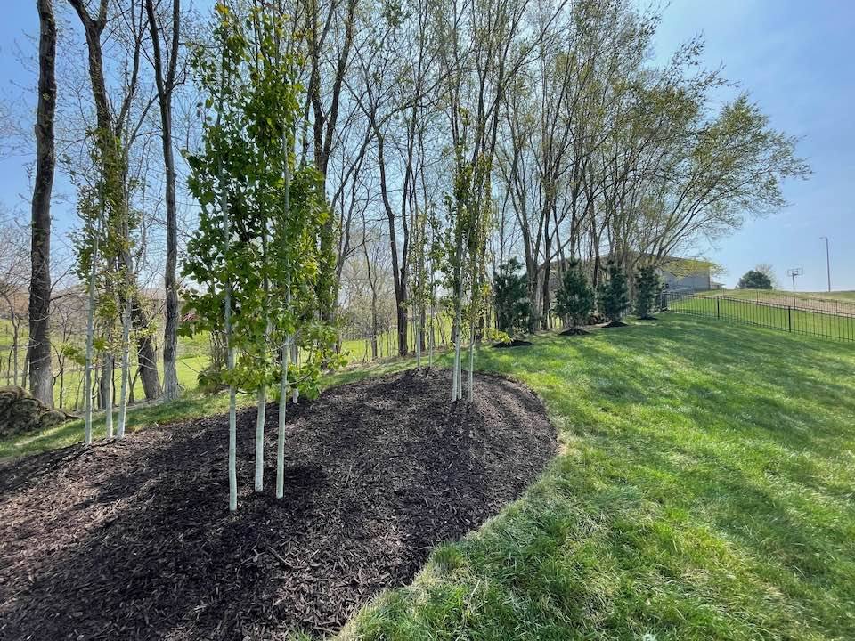 PateraLandscape's tweet photo. Your perfect landscape starts by calling #PateraLandscaping  #PlantedByPatera 🌳🍃 https://t.co/2A6SLIa1rc