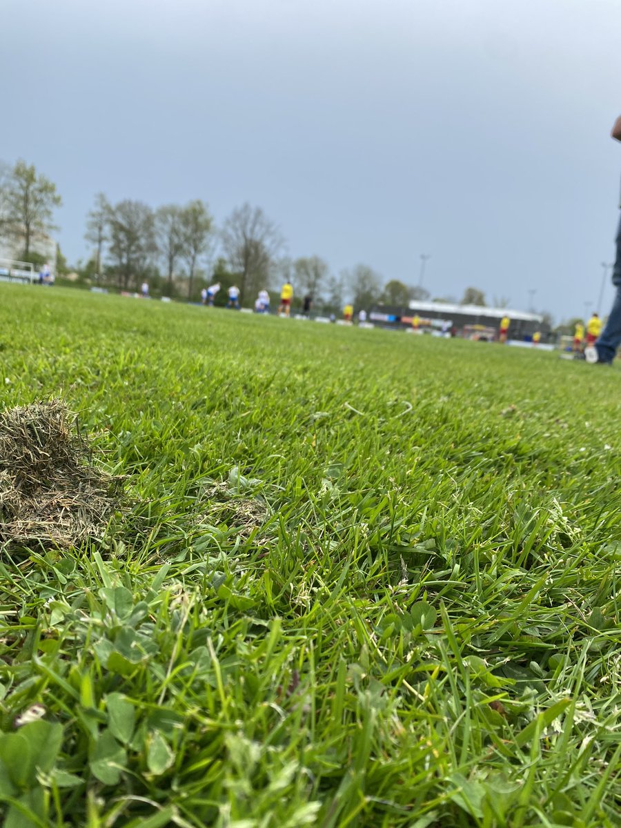 MariekePS's tweet photo. Prima voetbal VR1 @vv_omlandia. Met 3 punten weer richting Ten Boer. Eindstand 4-8 ⚽️⚽️ https://t.co/9TUFIIvKrN