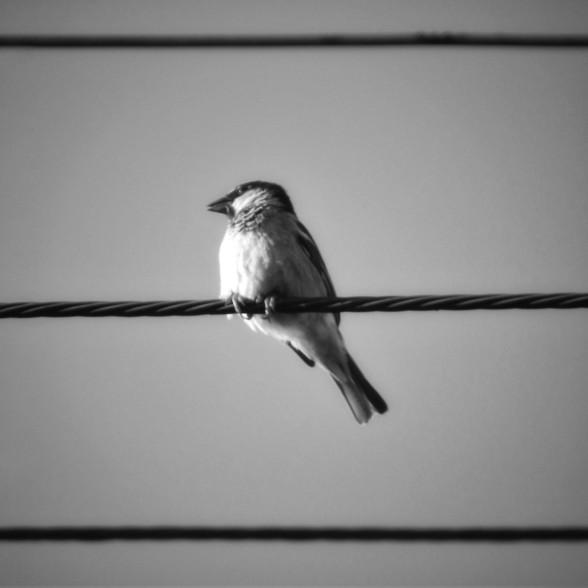 Lo urbano de mano con lo natural... 
Fotografía @aleqmel_ph