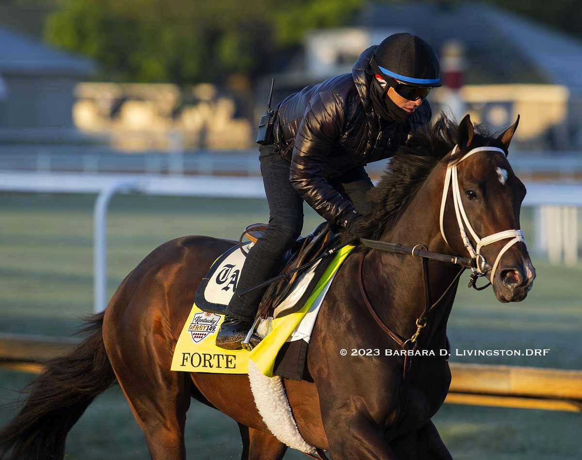 DRFLivingston's tweet photo. Disappointed for his great connections to learn about FORTE's scratch from the Kentucky Derby.
Here's hoping the handsome, fun-loving 2022 Eclipse champion male has many more winning moments in the future. https://t.co/fWGDq5mryt
