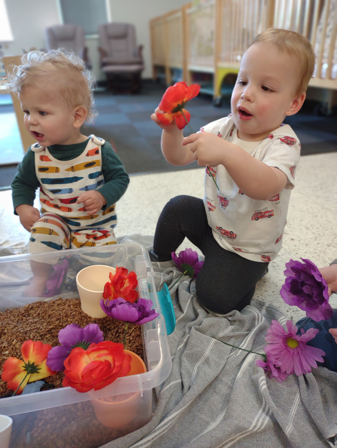 Kim Case tweet media