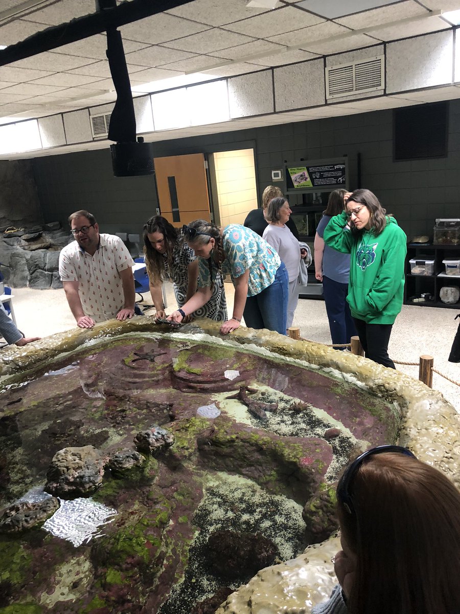 Lottie Peppers tweet media