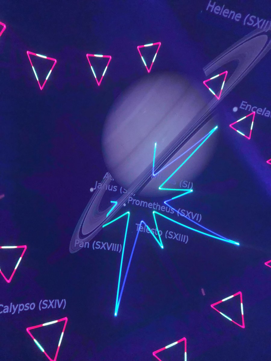 Lottie Peppers tweet media