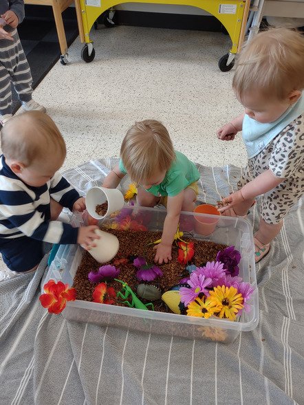 Kim Case tweet media