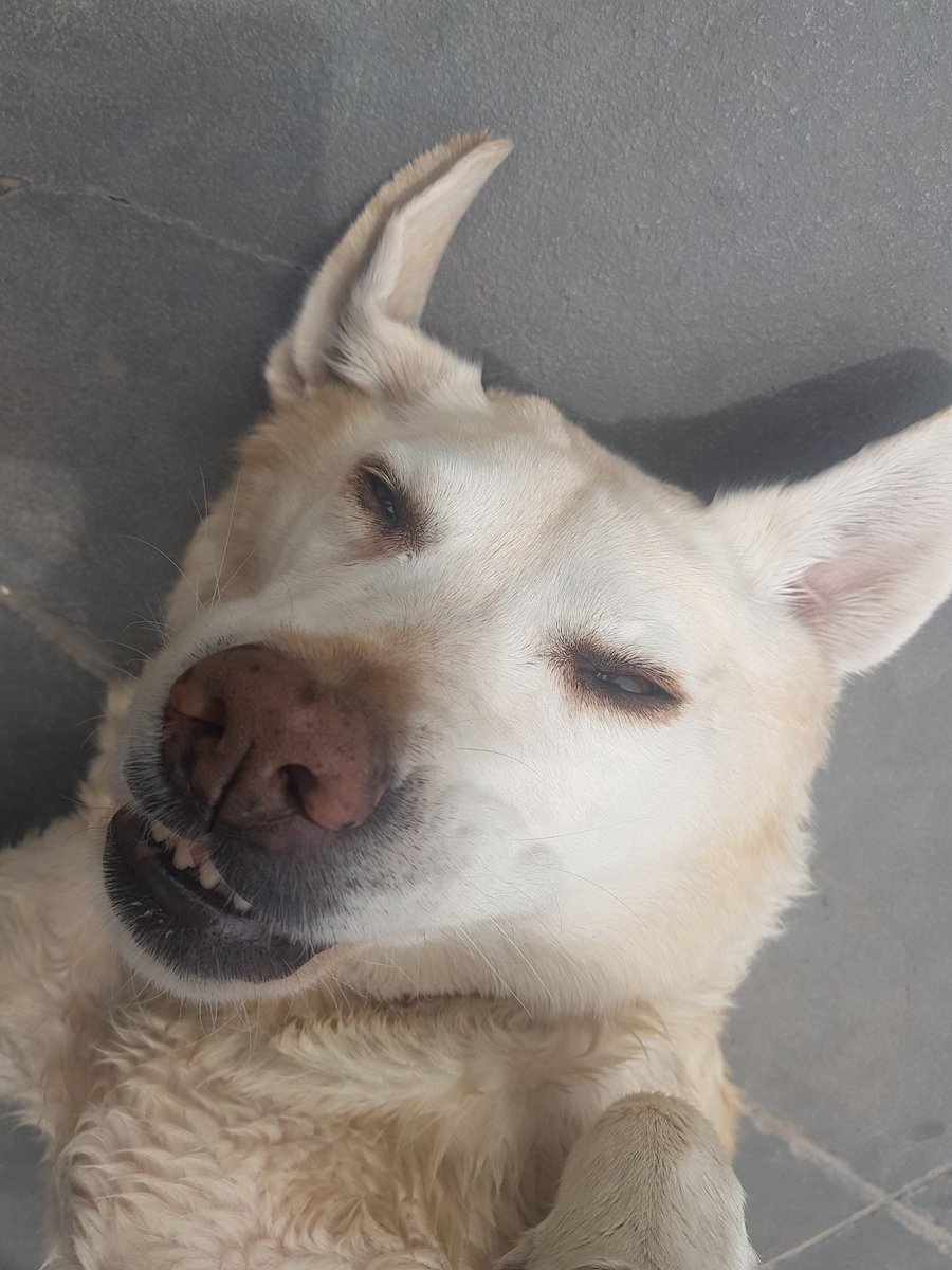colo37_la's tweet photo. @Vivoelsabado ella el 5/5 cumplió 13 añitos! Le mandan un saludito. Los vemos todos los Sábados. !!! Saludos de Villa Luro https://t.co/Isx4QCWQYe