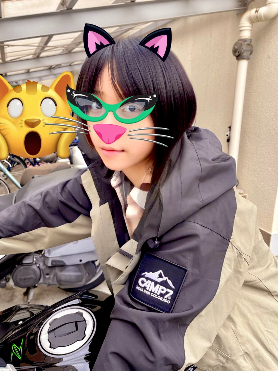 pudding_Z400's tweet photo. 名前：pudding
性別：雌
年齢：20代
愛車：Z400
好き：バイク/ガンダム/ゲーム/ベース
嫌い：怖い人/雨/渋滞
一言：通勤でしか殆ど乗れてへんけどたまに行けるソロツー大好き😻

#バイク乗りとして自己紹介 
#バイク乗りとして軽く自己紹介
#バイク好きと繋がりたい 
#バイク乗りと繋がりたい 
#Z400 https://t.co/31ttn97N4B
