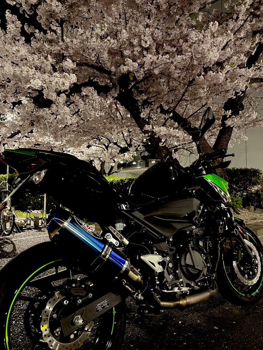 pudding_Z400's tweet photo. 名前：pudding
性別：雌
年齢：20代
愛車：Z400
好き：バイク/ガンダム/ゲーム/ベース
嫌い：怖い人/雨/渋滞
一言：通勤でしか殆ど乗れてへんけどたまに行けるソロツー大好き😻

#バイク乗りとして自己紹介 
#バイク乗りとして軽く自己紹介
#バイク好きと繋がりたい 
#バイク乗りと繋がりたい 
#Z400 https://t.co/31ttn97N4B