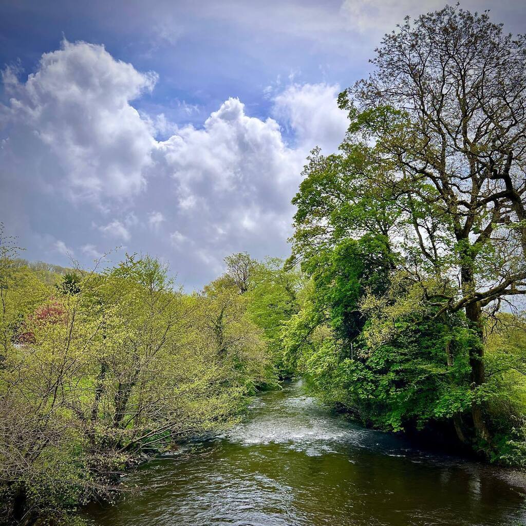 darrenrhill's tweet photo. Hello Worlds! A little bit of the River Teign from my lunchtime walk the other day. I managed to miss the showers and enjoy the sun.
#dartmoor #riverteign #nature https://t.co/jKfIftAT3o https://t.co/nbeOdIyliM