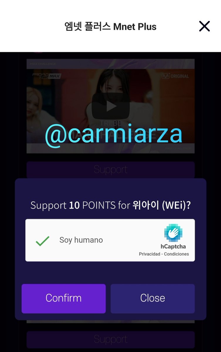 Carmiña 💙🐺💚 tweet media