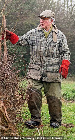 I would wager that what you will be remembered for more than your crown, is what has always set you apart as an individual: Your longstanding &amp; unwavering commitment to a sustainable future for all. I’m confident that you will still find the time to pursue your passion for the