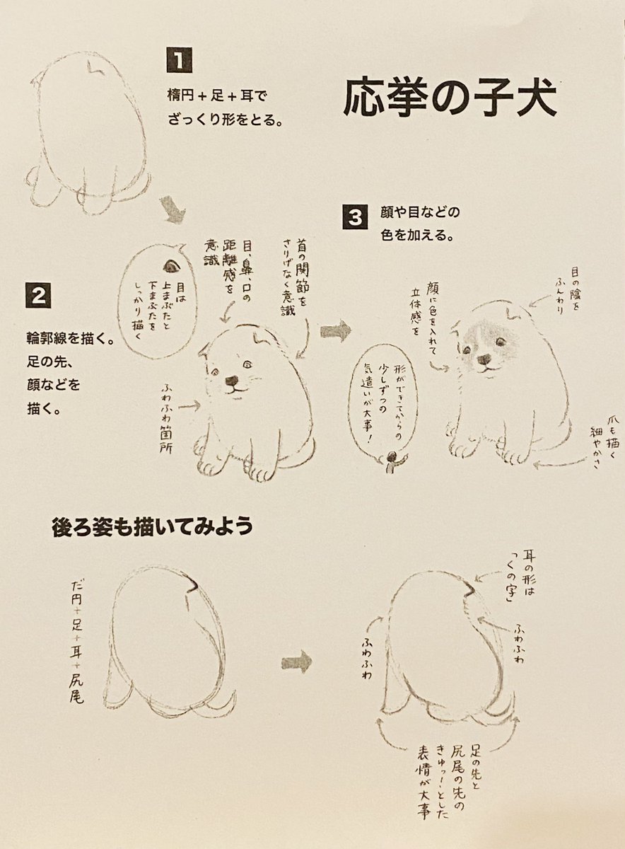 府中市美術館で(明日まで)開催中の「江戸絵画お絵かき教室」展のワークショップ。応挙のワンコと蘆雪の雀の描き方指南です。