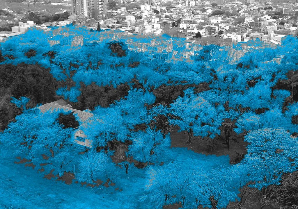 revistatimbo's tweet photo. https://t.co/R3fKAc4TxQ

#96 / año 13 / mayo 2023

Cambiar las costumbres.

EL PARQUE ESCONDIDO EN SAN ISIDRO

Un informe de Héctor Serres. Los datos ocultos de este pedazo de naturaleza encerrado entre rejas.

Mirá la nota completa en https://t.co/PjCO4APfe6

#parqueescondido https://t.co/9Fe4ExFQdb