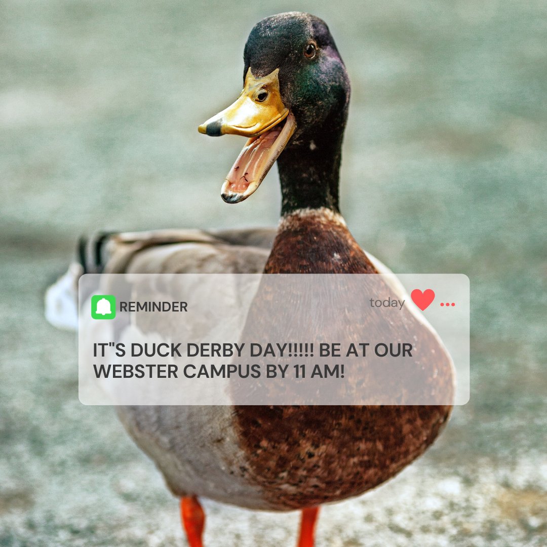 Woohoo!! Today is the day that we have all been patiently waiting for--Duck Derby 2023! Come join us for food, drinks, games, and, of course, the heavily anticipated duck races. You can purchase ducks today at the event if you didn't get the chance to already! See you at 11 am😊