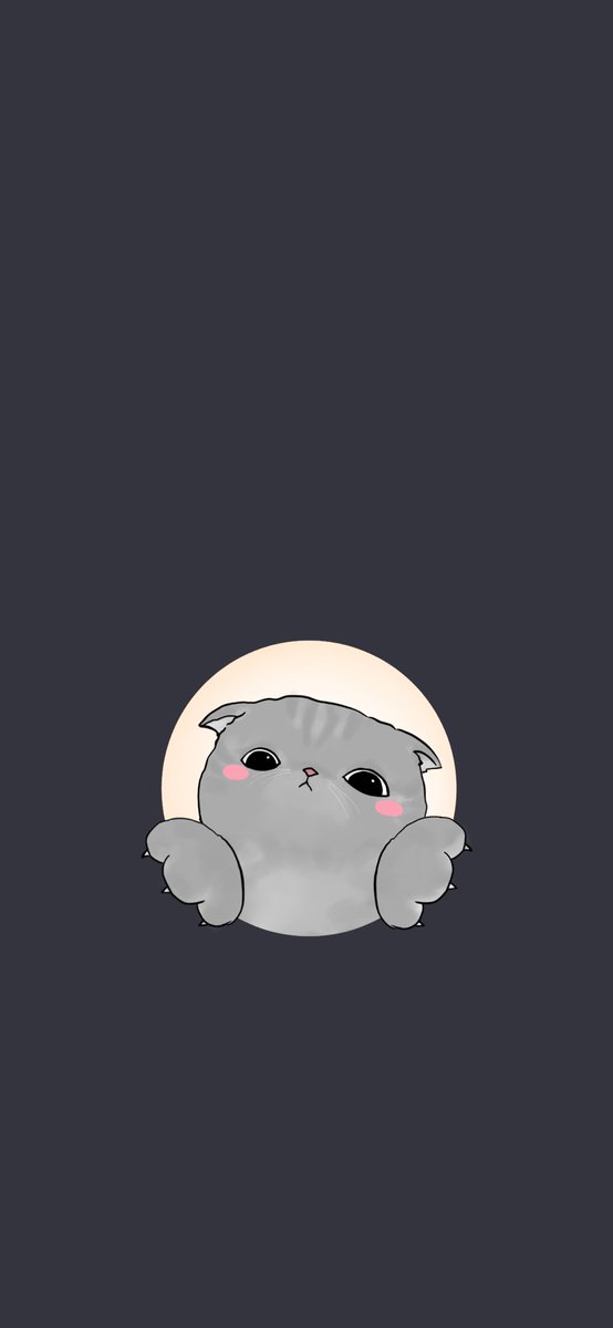 kin12ran's tweet photo. Caturday https://t.co/jl3NFiEjha
