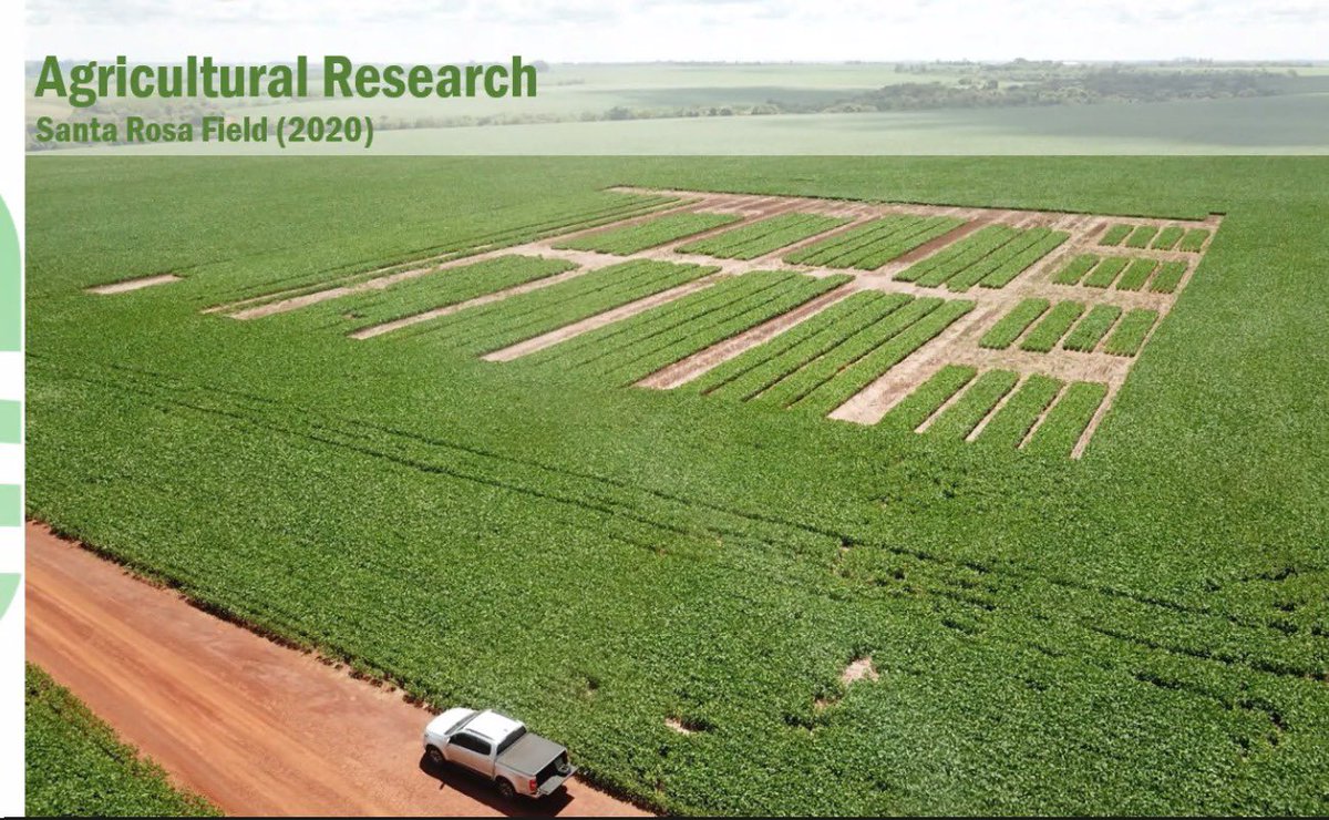 efieldcrops's tweet photo. 🌿🌿 Manhã de sábado focada em entender a sustentabilidade dos sistemas de produção Soja-Trigo-Milho no Paraguai 🇵🇾🇵🇾

✅✅ Agradecemos ao Dr André Zanini do Laboratório Agronomico no Paraguai por compartilhar conhecimento neste sábado pela manhã 🇵🇾🇵🇾

#gyga
#equipefieldcrops https://t.co/z0OhCSWplJ