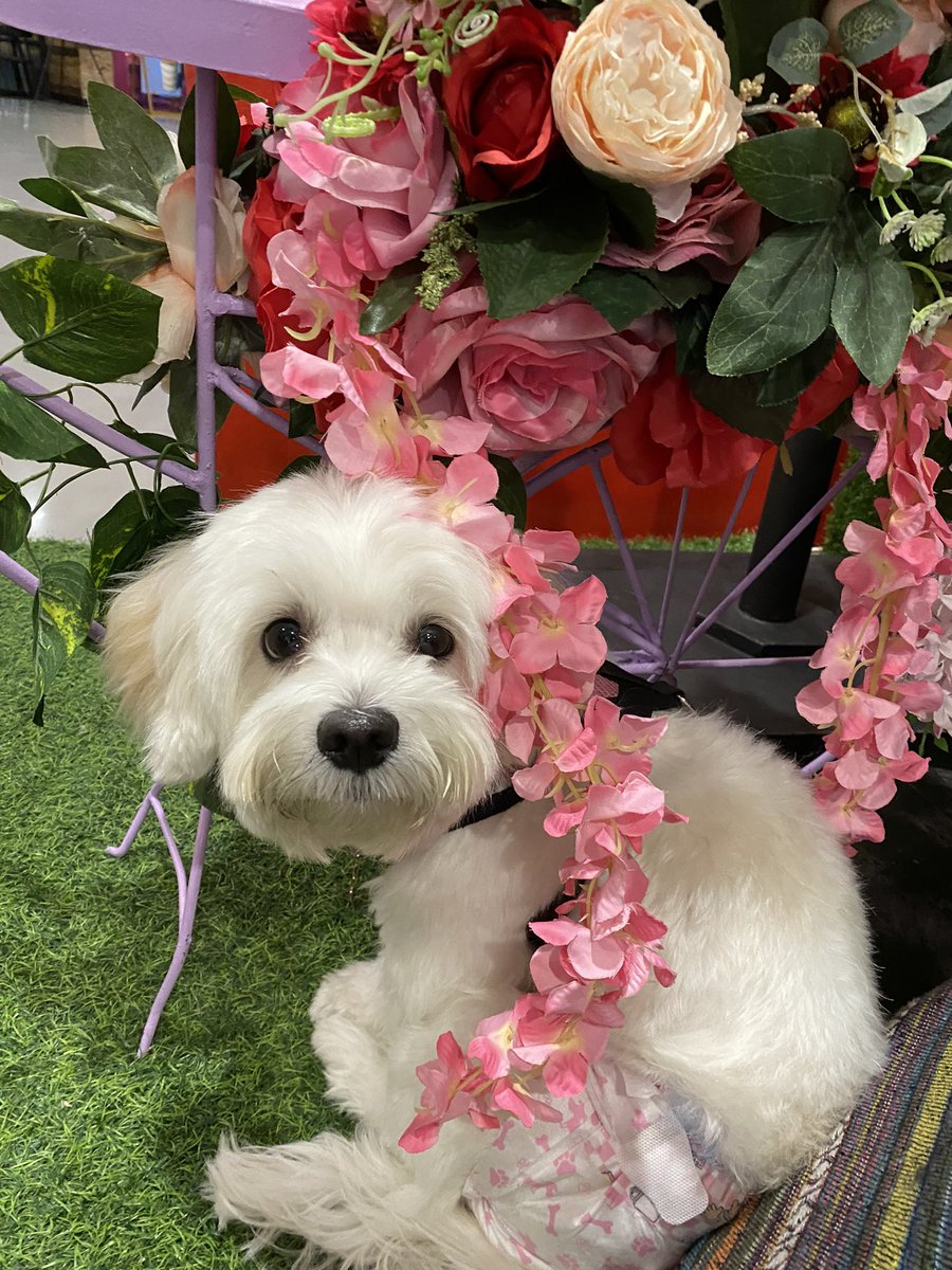 Paambag daw si wanda

SureTHANE ROB TCO