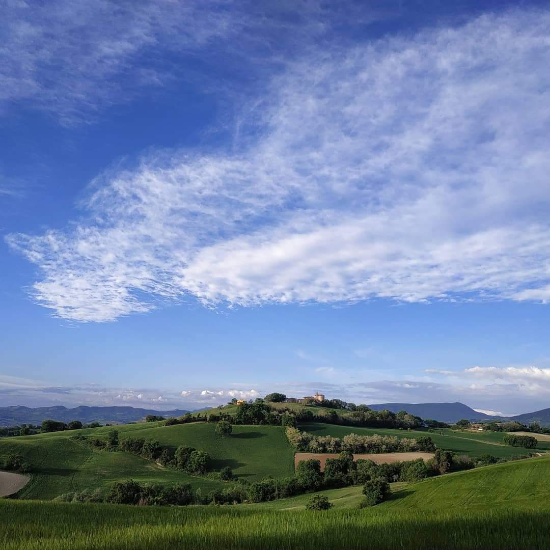 La pieve di San Severo nel territorio di Montefelcino, nelle Marche 
#meravigliaitalia