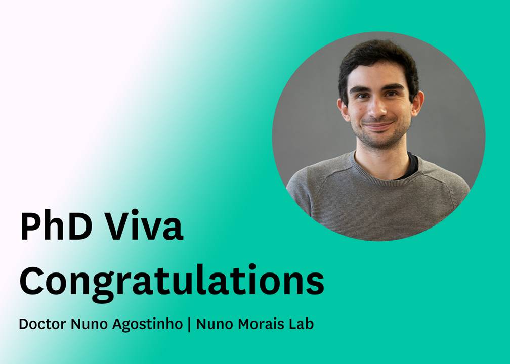 NMorais Lab (@nmoraislab) on Twitter photo We have a new Doctor since yesterday and we are very proud! 😉
Many congratulations, <a href="/nunoagostinho_/">Nuno Agostinho</a> ! 👏🍾🥳🎓
Thank you <a href="/mirimiam/">Manuel Irimia</a>, <a href="/areyesq/">Alejandro Reyes</a>, @BiocomicsLab, and @margarida_gamac for the fantastic discussions! 🙏 We have a new Doctor since yesterday and we are very proud! 😉
Many congratulations, <a href="/nunoagostinho_/">Nuno Agostinho</a> ! 👏🍾🥳🎓
Thank you <a href="/mirimiam/">Manuel Irimia</a>, <a href="/areyesq/">Alejandro Reyes</a>, @BiocomicsLab, and @margarida_gamac for the fantastic discussions! 🙏