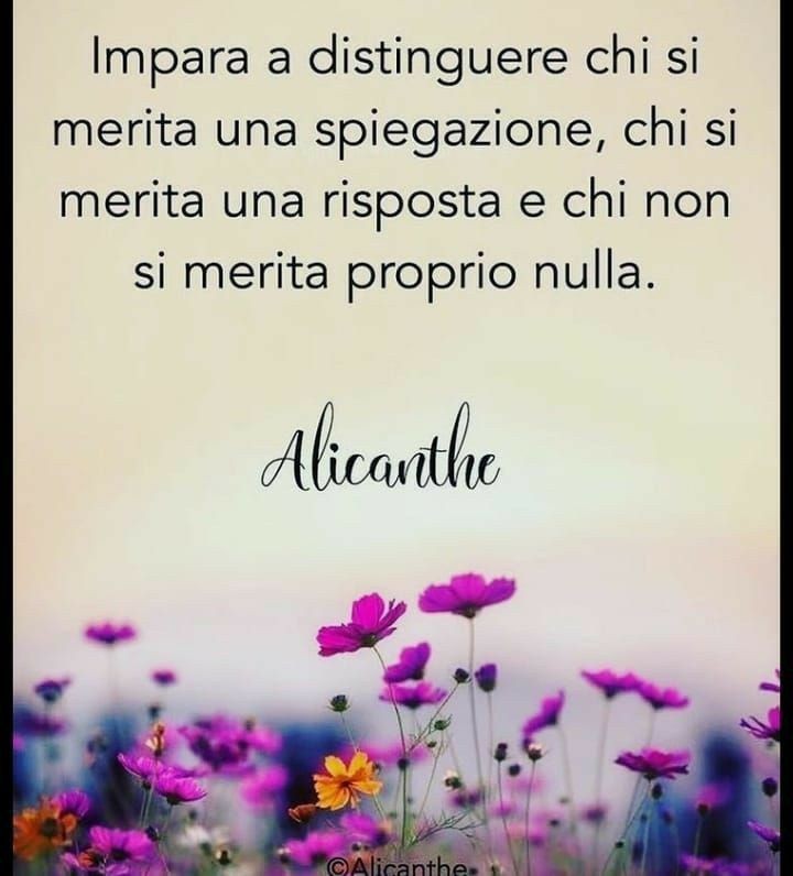 Bella gente serabuona a tutti voi amici del mio 💜
@iside50 @liliaragnar @Nicolet84520681 @Annalis03036068 @anna11824 @Silvia71_80 @Roberta7416 @roseohara78 @patriziagatto3 @Elisa34012803
@PersempreNadia
@Claudoc3 @Angela300564201
@anari56
@agavefiorita
@AgainCarlakak
@anna11824