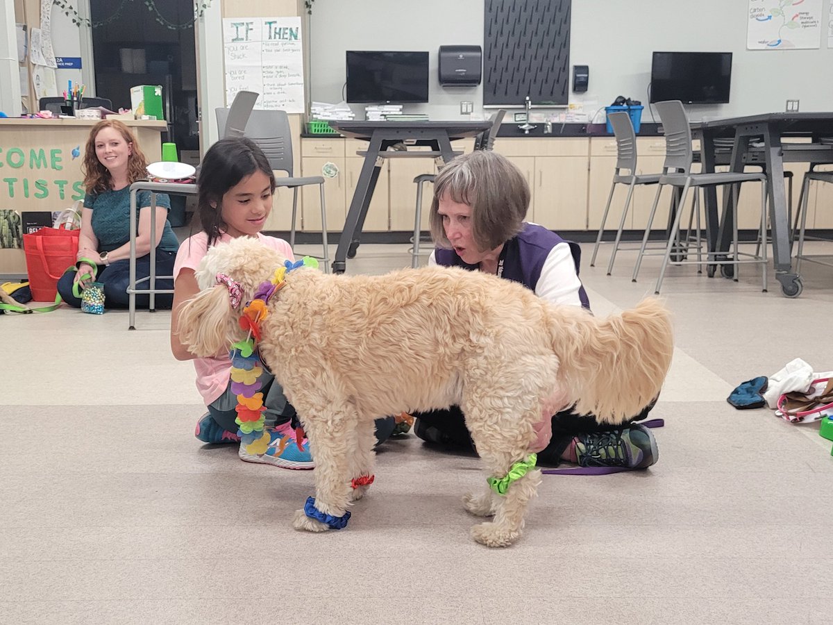 Serina Sota tweet media