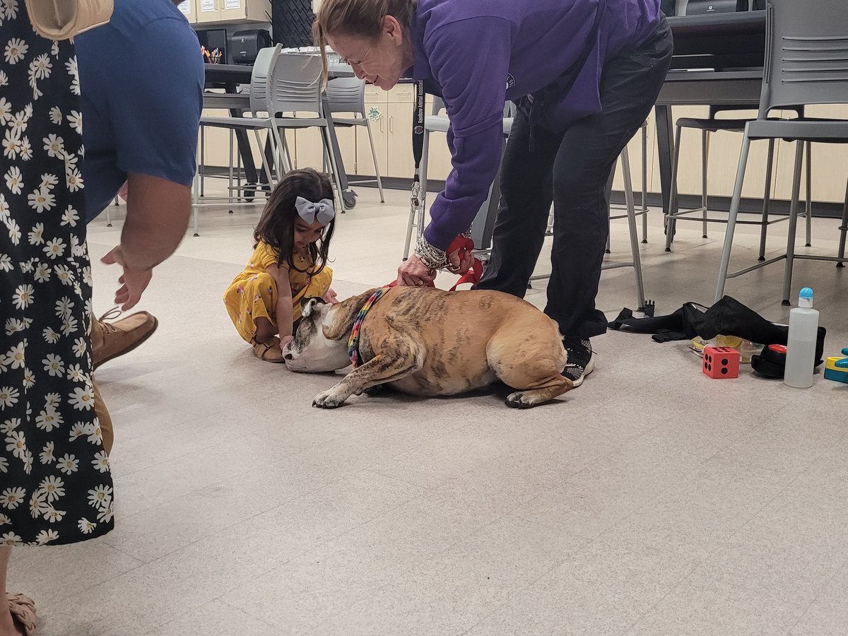 Serina Sota tweet media