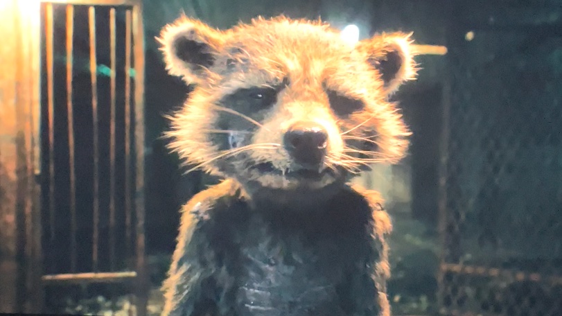 CaptainRocketR's tweet photo. GOTG VOL.3 SPOILER 
- 
- 
- 
- 
- 
- 
- 
- 
-
-
-
-
-
-
-
-
-
-
-
-
-
-
-
-
-
-
-
-
-
-
-
-
-
-
-
-
-
-
-
-
-
This scene broke me inside💔😭 https://t.co/IEdRMMxM5i