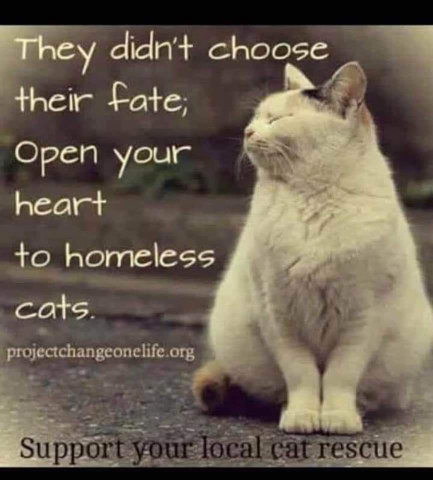 Bobbi Fotsch (@bobbifotsch) on Twitter photo 