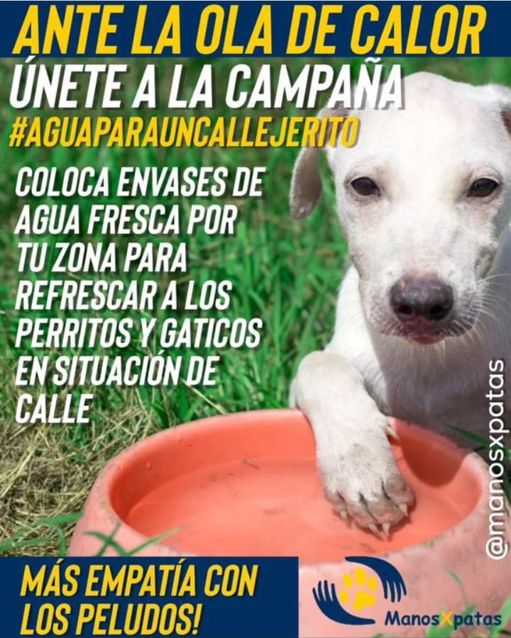 Anny_Castillo_1's tweet photo. https://t.co/RNf9eGMqU5