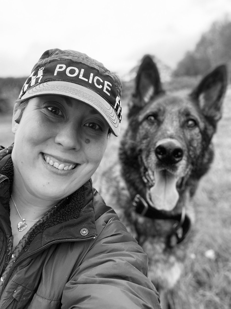 amydeemo's tweet photo. Soggy Saturday walk after a morning watching the wonderful pomp & ceremony of the Coronation ππ¬π§
RPD Duke is having a bit of a wobbly weekend so spent some time adding to the 1000s of photos I have of him! πΆπ #MyBestBoy #RPDDuke #GettingOldIsntFun https://t.co/msEaCvwGbG