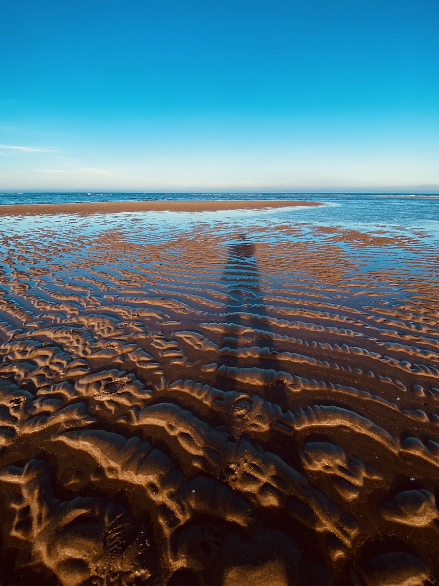 Dagbass7's tweet photo. Hear Songs for the Summer, a playlist by Sofa Dogs @DogsSofa on #SoundCloud #NewMusic2023 #FridayFeeling #guitarplayer #scotland #basshero #NewMusic 
https://t.co/nsDMPACTsE https://t.co/mvUQ72o1r4