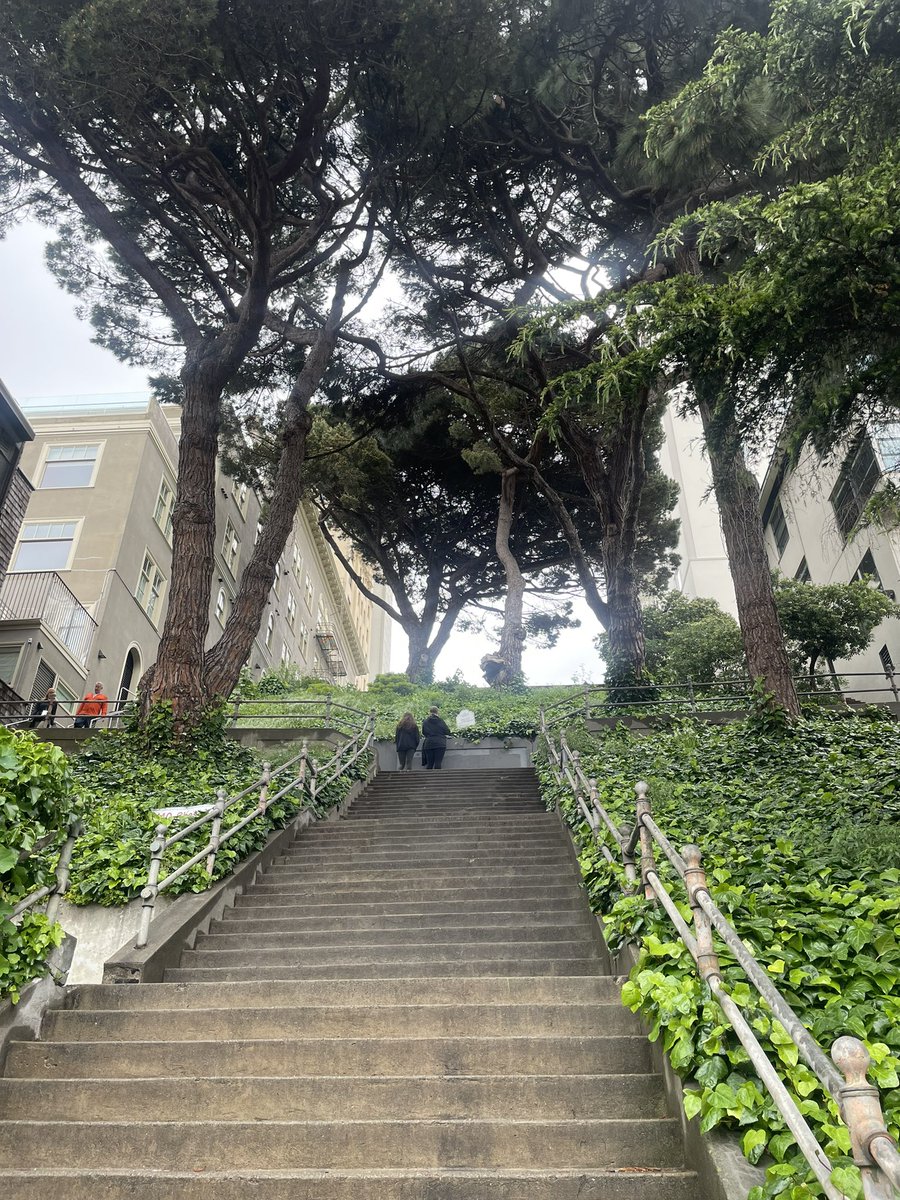 StevenBliss's tweet photo. Big congrats to the @walksf staff and volunteers on the first #SFStairChallenge. Fantastic course and a really fun morning. https://t.co/ZqCByEfdlO
