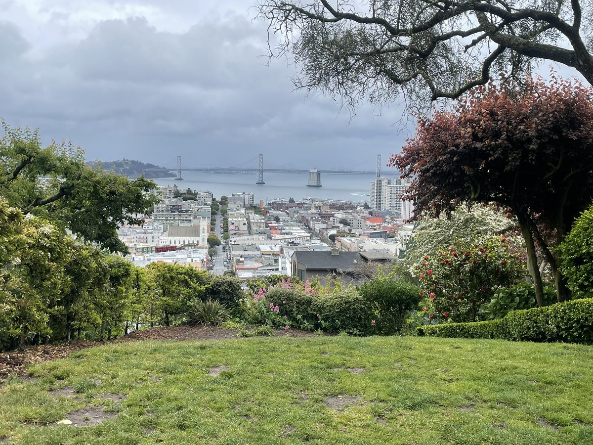 StevenBliss's tweet photo. Big congrats to the @walksf staff and volunteers on the first #SFStairChallenge. Fantastic course and a really fun morning. https://t.co/ZqCByEfdlO