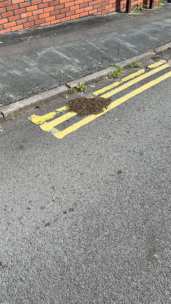 Tim Hewer tweet media